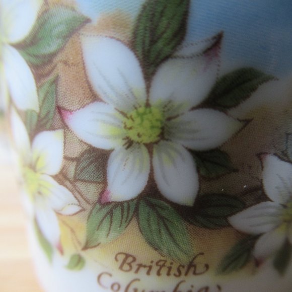 Salt & Pepper Shaker British Columbia Fairmont Hot Springs Canada Souvenir - Picture 6 of 8